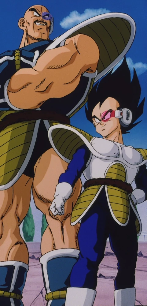 Saiyan Saga — Saga